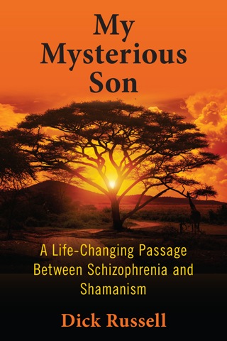 Cover image: My Mysterious Son 9781510729001