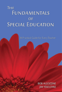Omslagafbeelding: The Fundamentals of Special Education 9781629146713
