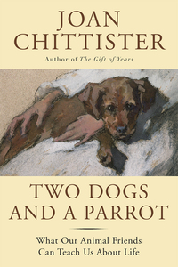Imagen de portada: Two Dogs and a Parrot 9781629190068