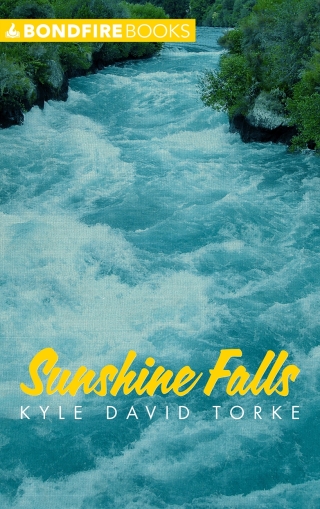 Imagen de portada: Sunshine Falls 9781629218779