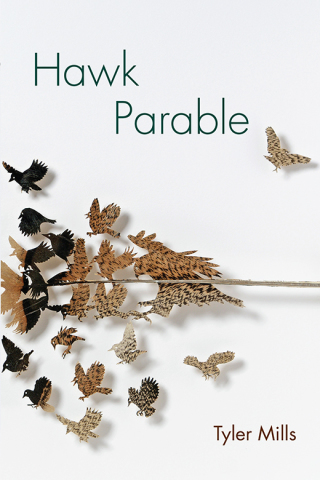 صورة الغلاف: Hawk Parable 9781629221052