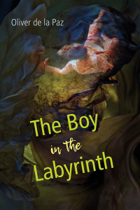 Imagen de portada: The Boy in the Labyrinth 9781629221724