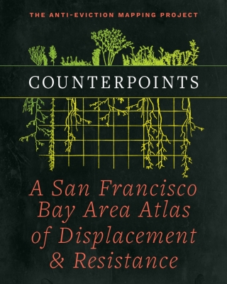 Cover image: Counterpoints 9781629638287