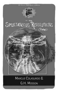 Imagen de portada: Simultaneous Revolutions 9781629638676