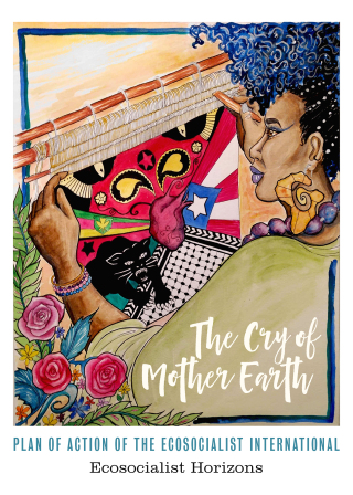 Cover image: The Cry of Mother Earth 9781629639369