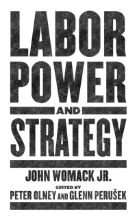 Cover image: Labor Power and Strategy 9781629639710