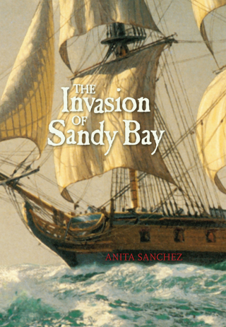 Cover image: The Invasion of Sandy Bay 9781590785607