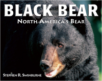 Cover image: Black Bear 9781590780237