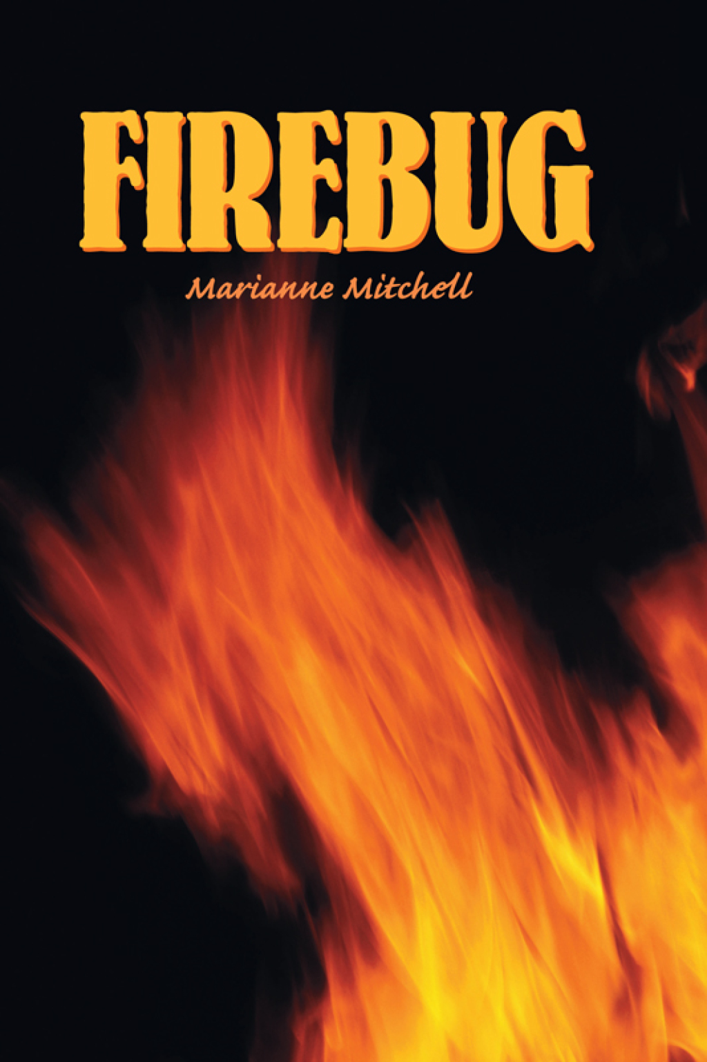 Firebug (eBook)