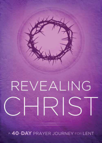 Cover image: Revealing Christ 9781621369905