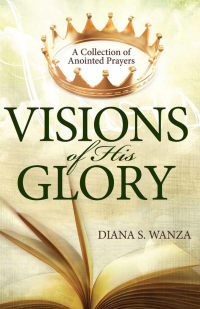 Cover image: Visions of His Glory 9781629984032