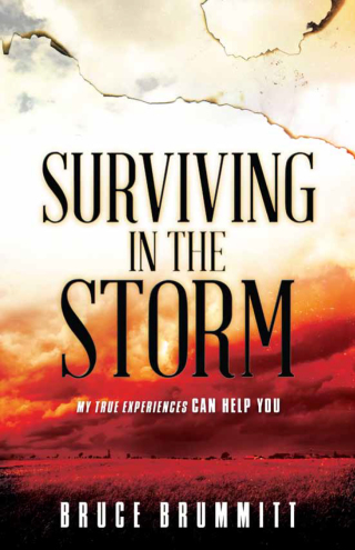 表紙画像: Surviving in the Storm 9781629984339