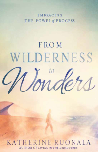 Cover image: From Wilderness to Wonders 9781629986142