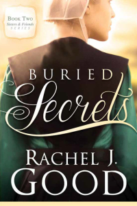Cover image: Buried Secrets 9781629989532