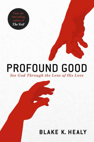 Cover image: Profound Good 9781629995656