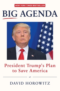 Cover image: Big Agenda 9781630060879
