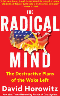 Cover image: The Radical Mind 9781630062675