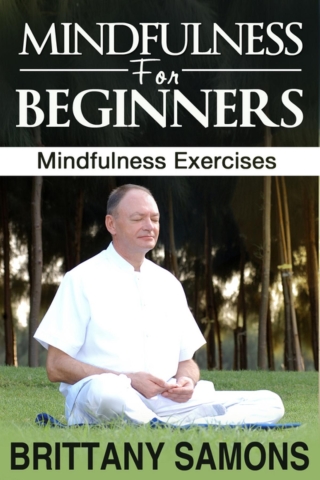 Cover image: Mindfulness For Beginners 9781630221041