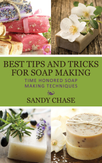 Cover image: Best Tips And Tricks For Soap Making 9781630223366