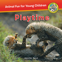 Cover image: Playtime 9781630762261