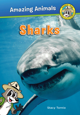 صورة الغلاف: Sharks 9781630762889