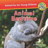 Cover image: Animal Bedtime 9781630762902