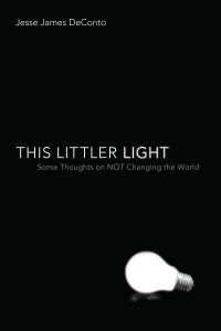صورة الغلاف: This Littler Light 9781620328194