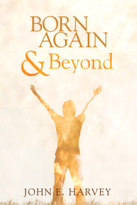 Cover image: Born Again and Beyond 9781620327401