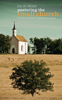 Cover image: Pastoring the Small Church 9781625642943