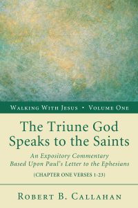 Cover image: The Triune God Speaks to the Saints 9781608996452