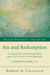 Cover image: Sin and Redemption 9781608996469
