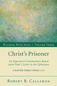 Cover image: Christ’s Prisoner 9781608996476