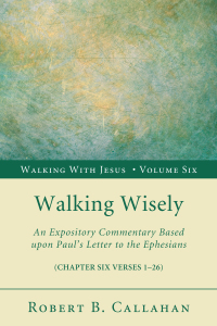 Cover image: Walking Wisely 9781608996506