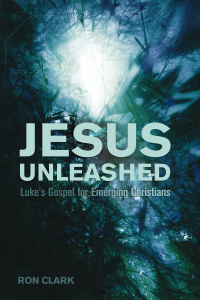 Imagen de portada: Jesus Unleashed 9781610979894