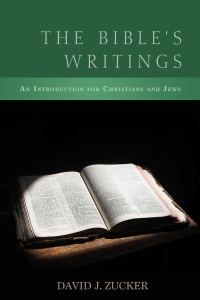 Cover image: The Bible's Writings 9781620327388