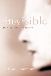 Cover image: inVisible 9781625640994