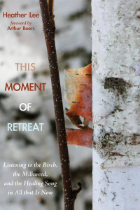 Imagen de portada: This Moment of Retreat 9781625648556