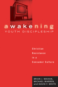 Omslagafbeelding: Awakening Youth Discipleship 9781556351365