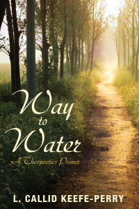 Imagen de portada: Way to Water 9781625645203