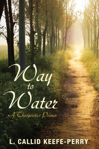 Titelbild: Way to Water 9781625645203