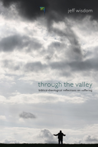 Cover image: Through the Valley 9781610973908
