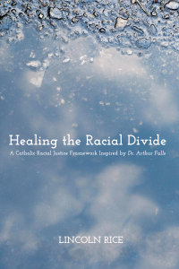 Cover image: Healing the Racial Divide 9781625644749