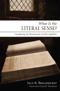 Omslagafbeelding: What Is the Literal Sense? 9781610974066