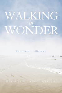 Cover image: Walking in Wonder 9781625643742