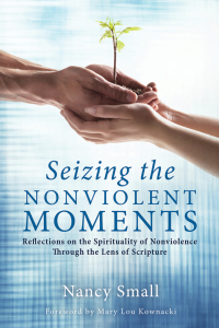 Cover image: Seizing the Nonviolent Moments 9781625647566