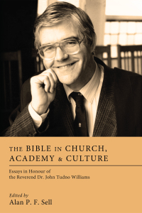 Imagen de portada: The Bible in Church, Academy, and Culture 9781608994755