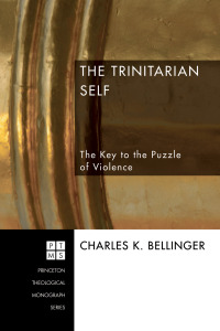 Cover image: The Trinitarian Self 9781556352324