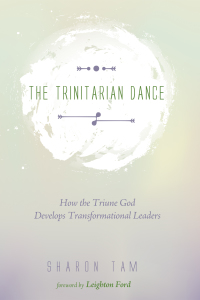 Titelbild: The Trinitarian Dance 9781625645579