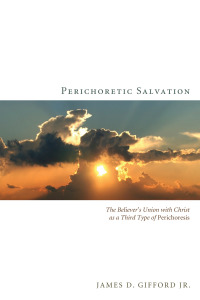 Cover image: Perichoretic Salvation 9781610971140