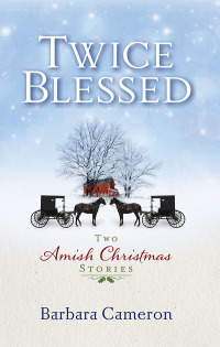 Cover image: Twice Blessed 9781501800658